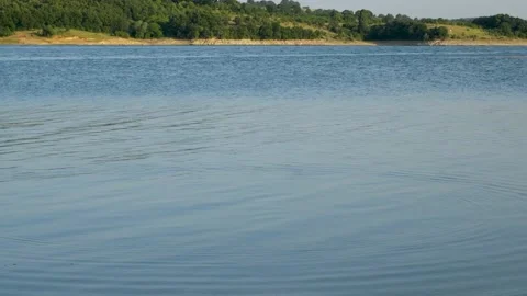 Throwing stones into lake Stock Footage 208176767