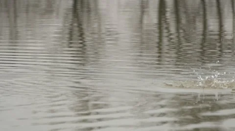 Throwing Stones Into The River- Ripple Effect Stock Footage 48275133