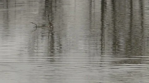 Throwing Stones Into The River Slow Motion Stock Footage 48275620
