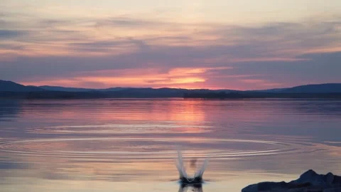 Throwing stones. Stones slide on the surface of the water at sunset. Stock Footage 240725072