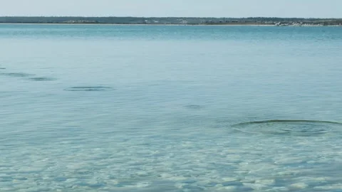 Throwing stones on water Stock Footage 295321780