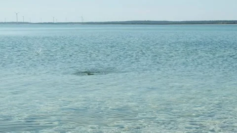 Throwing stones on water Stock Footage 295321782