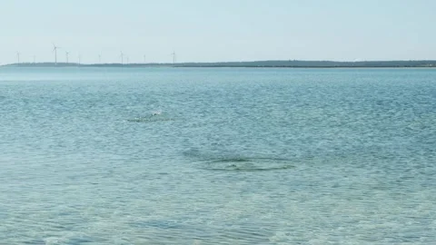 Throwing stones on water Stock Footage 295321858