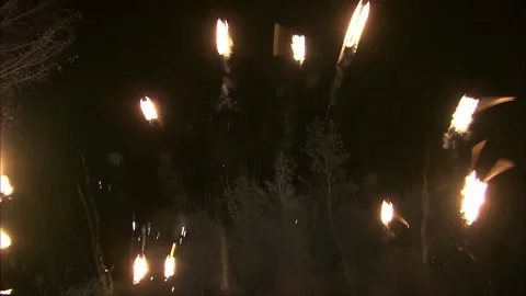 Throwing torches in the woods at night Stock Footage 261639943