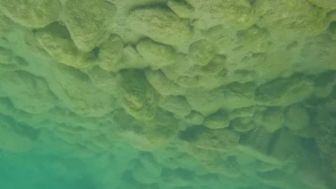 Throwing waterproof camera into the water Stock Footage 280390680