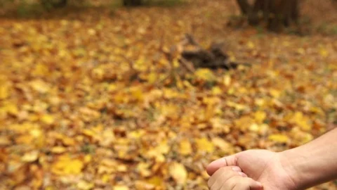 Throwing the wedding rings Stock Footage 100820069