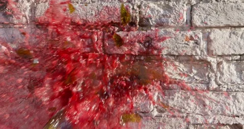 Thrown bottle of red wine crashes against white brick wall Stockbeeldmateriaal 161287109