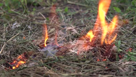 The thrown match set fire to the grass. A man threw a match on the dry grass. Stock Footage 153975357