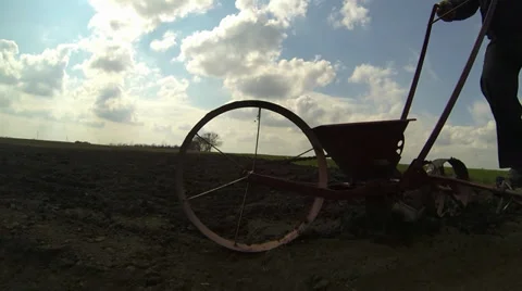 Thrown onion Video stock 36779109