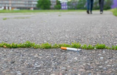 Thrown smoking cigarette butt lying on the asphalt road Stock-Fotos