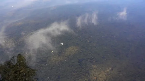 The thrown stone falls into the water in slow motion Stock Footage 133036552