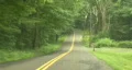 Thru The Forest Road In Connecticut HD Footage
