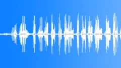 Thrush nightingale singing in the night garden (at close distance) 3Sound Effect