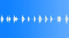 Thrush. Trills.Sound Effect