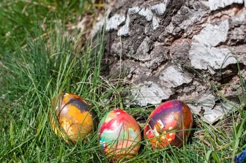 Thtee colorful easter eggs Stock Photos