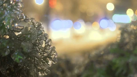 Thuja tree icy, freezing rain Stock Footage 70382523