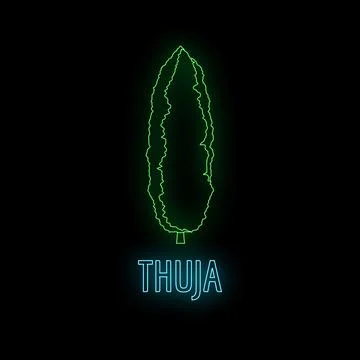 Thuja tree linear neon glow line art 스톡 일러스트