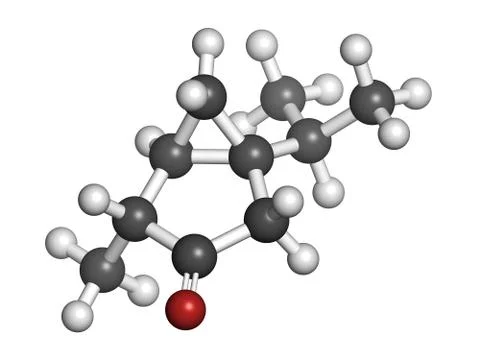 Thujone absinthe molecule, chemical structure. Stock Illustration