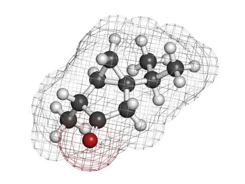 Thujone absinthe molecule, chemical structure. Stock Illustration