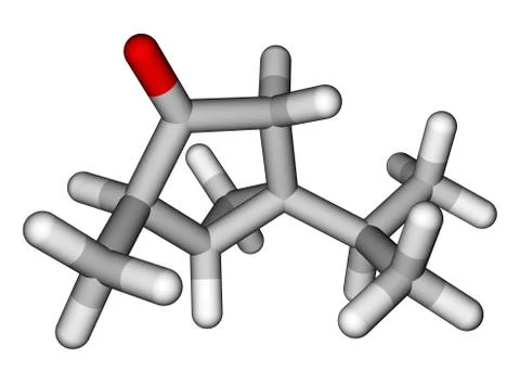 Thujone, compound with menthol odor, constituent of absinthe Stock Illustration