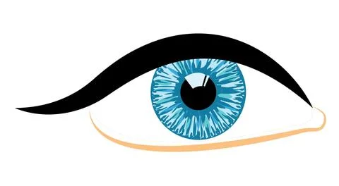 THuman eye Stock Illustration