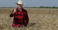 Thumb Up Good Sign Hand Gesture Agriculture Producer Farm Land Wheat Harvest 4k or 4k+ Resolution