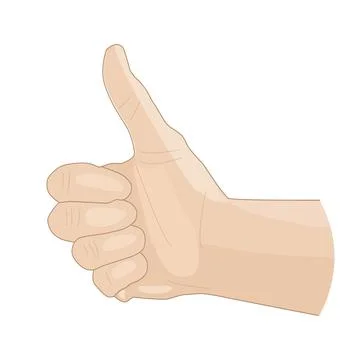 Thumb up hand gesture isolated on white background. Stock Illustration