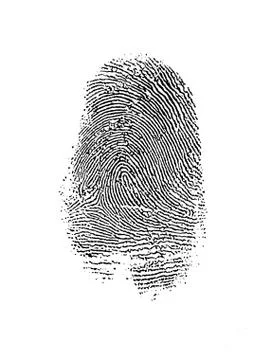 Thumb print over white Stock Illustration