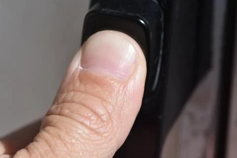 Thumb on Push Button Screen Door Handle Photos