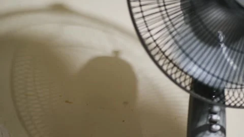 Thumb Turning Off Electric Fan with Rotating Shadow Slowing to a Stop Stock Footage 339002158