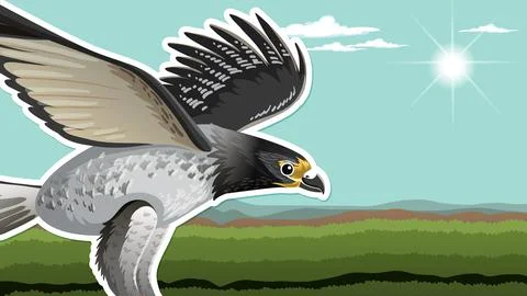 Thumbnail design with eagle on nature background Stock Illustration