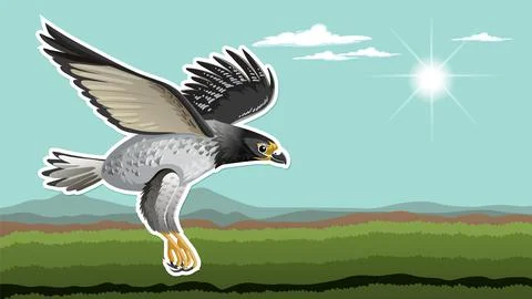 Thumbnail design with hawk meadow background Stock Illustration
