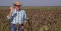 Thumbs Up Farmer Good Ripe Culture Homestead Reap Season Agriculture Industry 4k or 4k+ Resolution