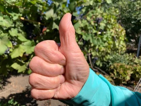 Thumbs Up Like Gesture Outdoors Stock Photos