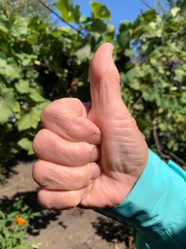Thumbs Up Like Gesture Outdoors Stock Photos