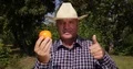 Thumbs Up Happy Farmer Recommend Fresh Sweet Mandarine Fruit 4k or 4k+ Resolution