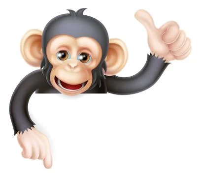Thumbs Up Monkey Chimp Sign Stock Illustration