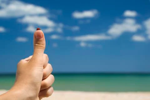 Thumbs up Stock Photos