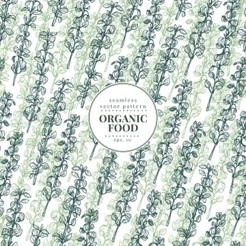 Thume. Vector seamless pattern for design menu, packaging and recipes. Hand Stock Illustration