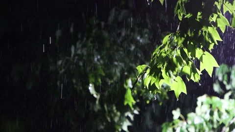 Thunder and lightning and heavy rain through trees and streetlights Stock Footage 194382499