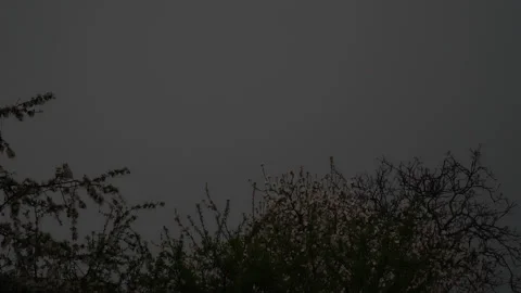 Thunder and lightning in the evening sky during the rain at springtime 動画素材 130498838