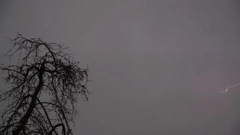 Thunder and lightning in the evening sky during the rain 動画素材 130498905