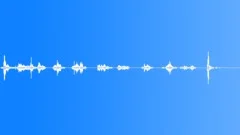 Thunder and rain (long recording!)Sound Effect
