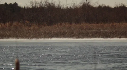 Thunder Bay River Running in April Video stock 22822576