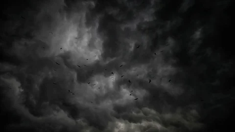 Thunder clouds with flock of eagles ultrawide Stock-Footage 83667637