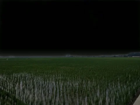 Thunder flash outdoor nature Video stock 264796456