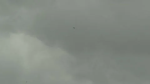 Thunder. Video stock 155443571