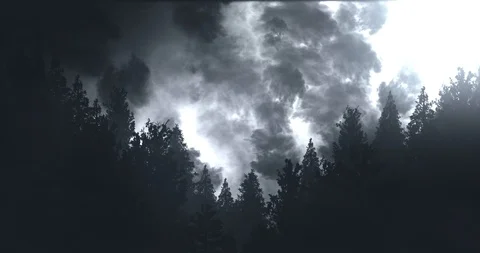 Thunder &amp; Lightning Forest Silhouette - Black &amp; White Stock Footage 92198592