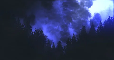 Thunder & Lightning Forest Silhouette - Blue Stock Footage