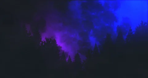 Thunder &amp; Lightning Forest Silhouette - Blue &amp; Purple Stock Footage 92169412